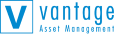 Vantage Colour Logo Web